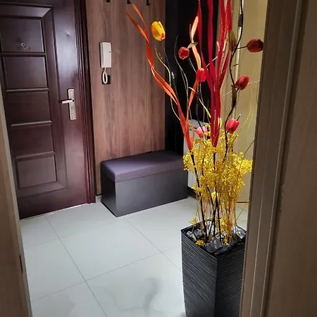 아파트 Proximus 1 스렘스카 미트로비차