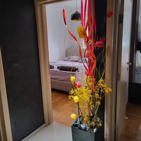 Proximus 1 스렘스카 미트로비차